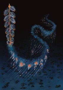 Deepwave Cover